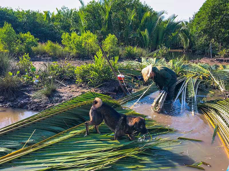 Cuộc sống thường nhật của người dân Hà Tiên Cuộc sống thường nhật của người dân Hà Tiên