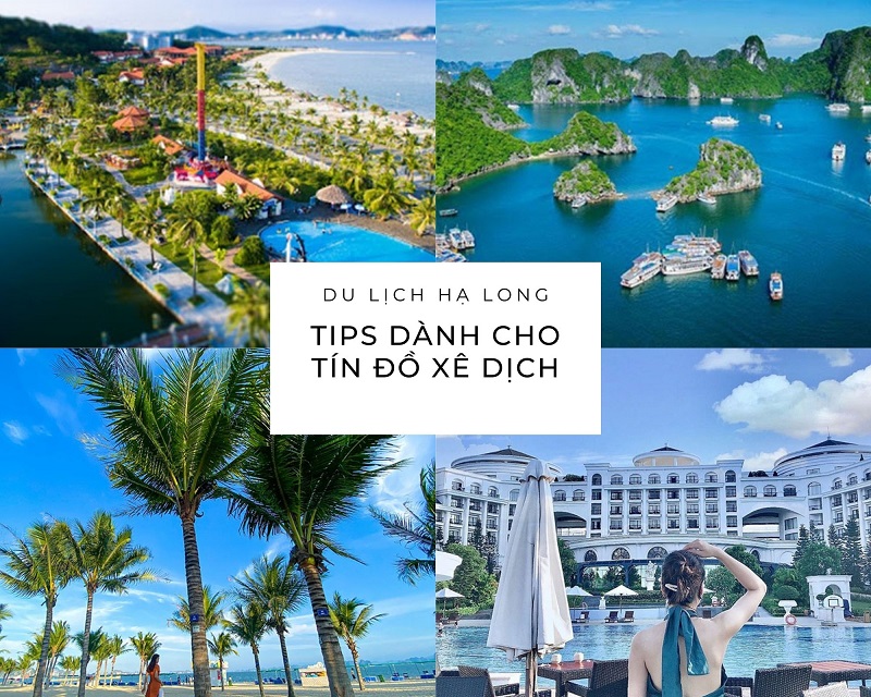 Du Lịch Hạ Long: Tips Dành Cho Tín Đồ Xê Dịch Du Lịch Hạ Long: Tips Dành Cho Tín Đồ Xê Dịch