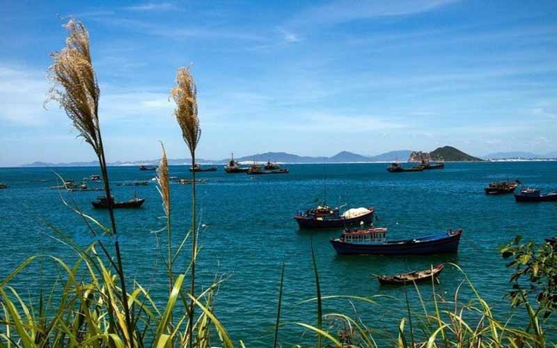 Vịnh Rũng Rô đẹp mê hồn Vịnh Rũng Rô đẹp mê hồn