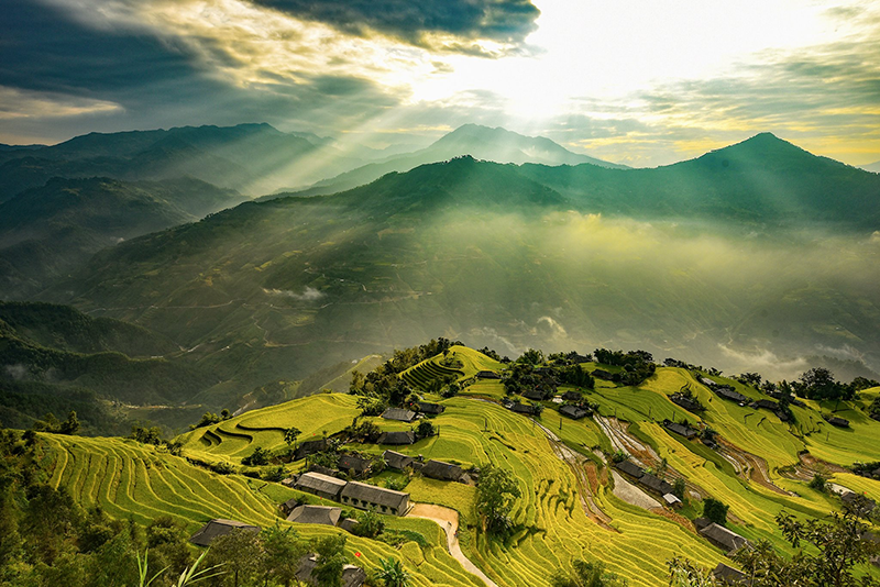 Hoàng Su Phì mùa lúa chín Hoàng Su Phì mùa lúa chín