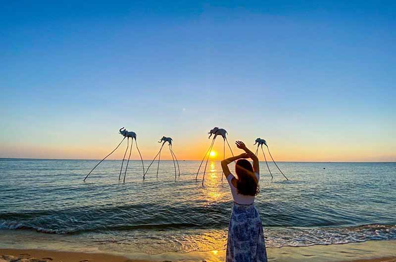 Đàn voi đi bộ trên biển – hình ảnh độc nhất vô nhị tại Sunset Sanato Beach Club Đàn voi đi bộ trên biển – hình ảnh độc nhất vô nhị tại Sunset Sanato Beach Club