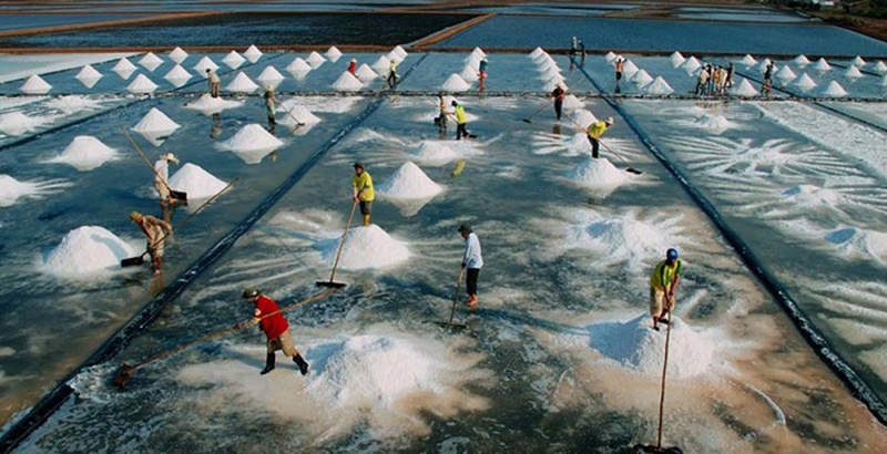 Cánh đồng muối Bạc Liêu Cánh đồng muối Bạc Liêu