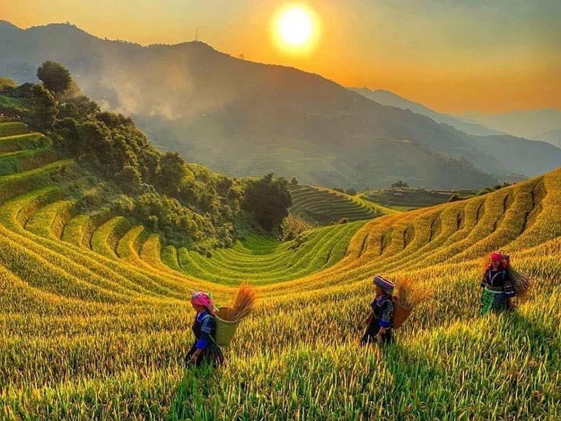 Ruộng bậc thang mùa vàng ở bản Đôn – Pù Luông Ruộng bậc thang mùa vàng ở bản Đôn – Pù Luông