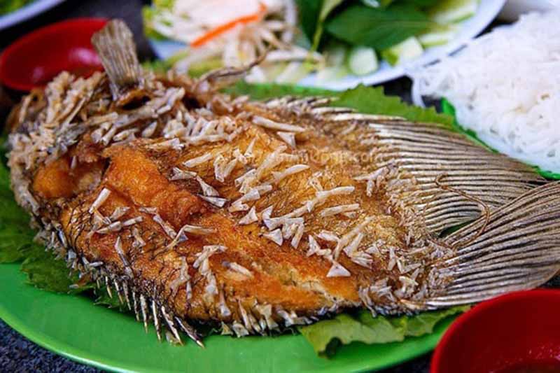 C&aacute; T&agrave; Ma tr&ocirc;ng kh&aacute; giống c&aacute; r&ocirc; phi nhưng ăn c&oacute; vị ngọt thơm kh&aacute;c lạ
