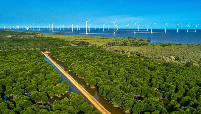 DU LỊCH BẠC LIÊU CÓ GÌ THÚ VỊ DU LỊCH BẠC LIÊU CÓ GÌ THÚ VỊ
