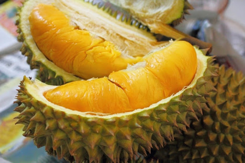 Sầu riêng Ngũ Hiệp Sầu riêng Ngũ Hiệp