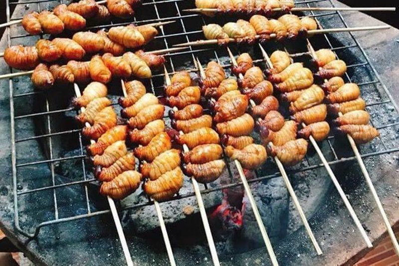 Đuông chà là Bạc Liêu Đuông chà là Bạc Liêu