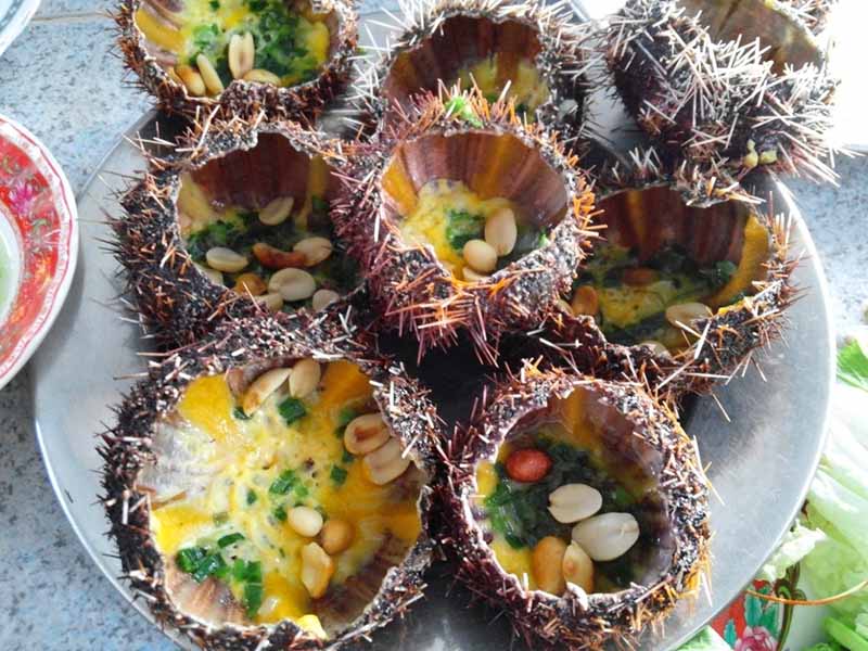 Nhum biển được chế biến th&agrave;nh nhiều m&oacute;n ngon trở th&agrave;nh đặc sản L&yacute; SơnNhum biển được chế biến th&agrave;nh nhiều m&oacute;n ngon trở th&agrave;nh đặc sản L&yacute; Sơn