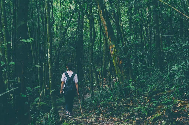 Trekking Vườn Quốc gia Tam Đảo Trekking Vườn Quốc gia Tam Đảo