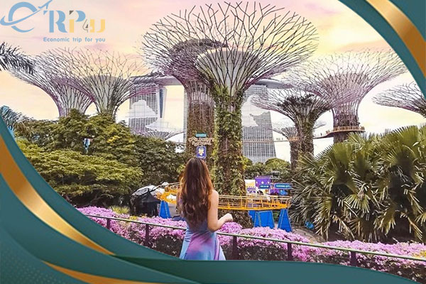 Chi ph&iacute; đi du lịch singapore tự t&uacute;c
