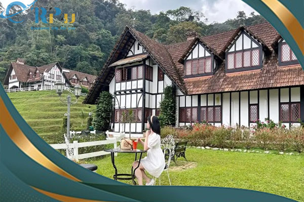 Cao nguy&ecirc;n Cameron - một điểm du lịch th&uacute; vị ở Malaysia