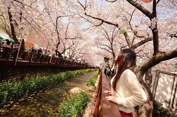 Jinhae-gu