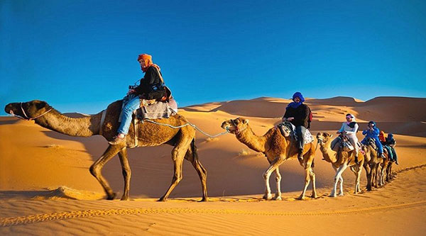 Sa mạc Safari Dubai