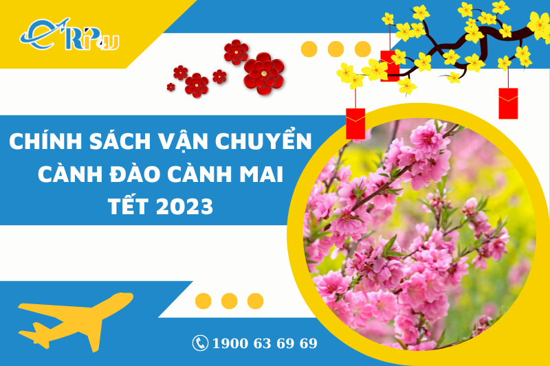Chính sách vận chuyển cành Đào cành Mai Tết 2023 Chính sách vận chuyển cành Đào cành Mai Tết 2023