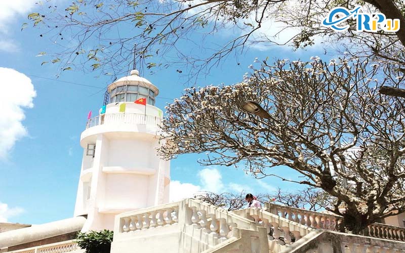 Khung cảnh con đường đi l&ecirc;n ngọn hải đăng đẹp kh&ocirc;ng k&eacute;m xứ h&agrave;n