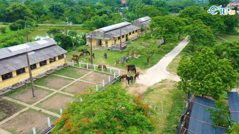 Trại ngựa Bá Vân Trại ngựa Bá Vân
