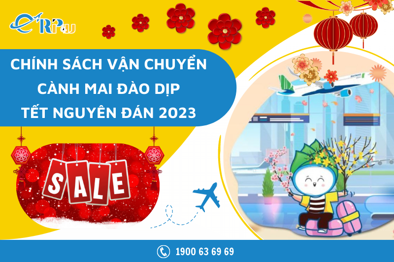 Chính sách vận chuyển cành mai đào dịp Tết Nguyên đán 2023 Chính sách vận chuyển cành mai đào dịp Tết Nguyên đán 2023