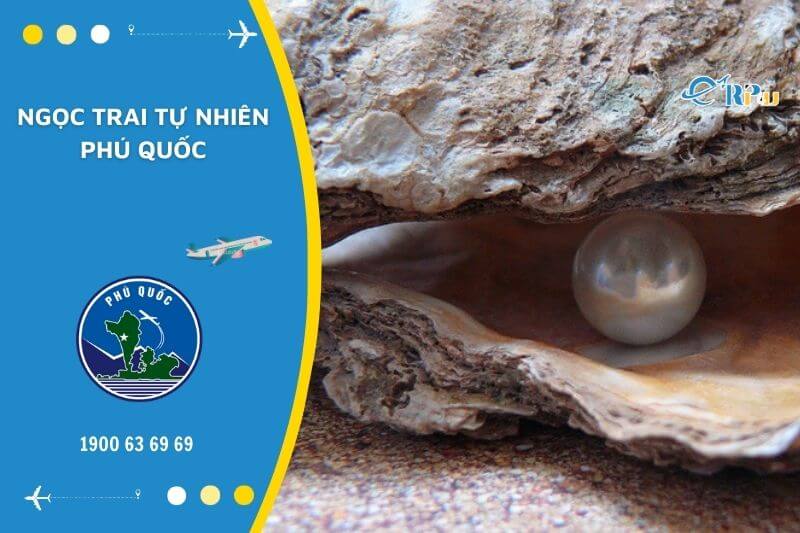 Tìm hi&ecirc;̉u v&ecirc;̀ ngọc trai tự nhi&ecirc;n Ph&uacute; Quốc