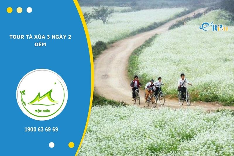 Đến Mộc Ch&acirc;u, du kh&aacute;ch đừng qu&ecirc;n gh&eacute; thăm T&agrave; X&ugrave;a nh&eacute;