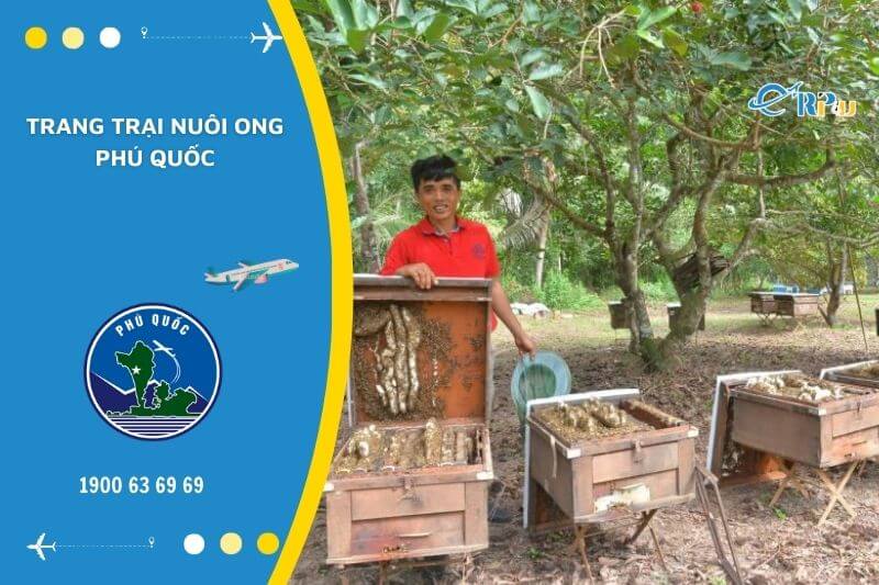 Chi&ecirc;m ngưỡng khu nu&ocirc;i ong lớn nhất tại Ph&uacute; Quốc