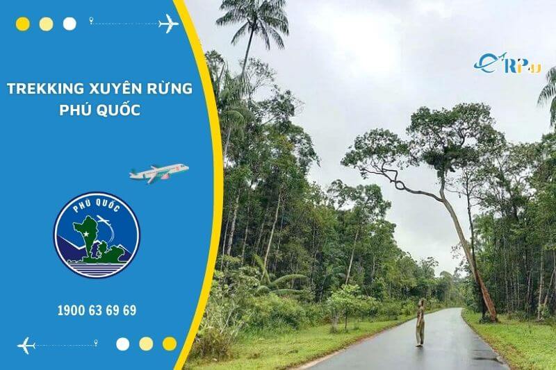 Trekking xuy&ecirc;n rừng Ph&uacute; Quốc
