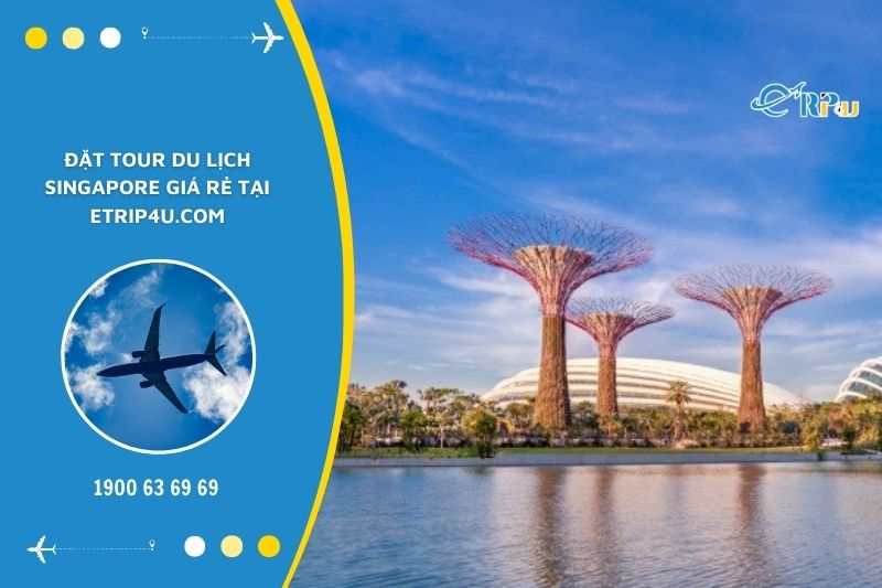 Đặt tour du lịch Singapore tại Vnbuy.vn l&agrave; lựa chọn tiết kiệm v&agrave; chất lượng