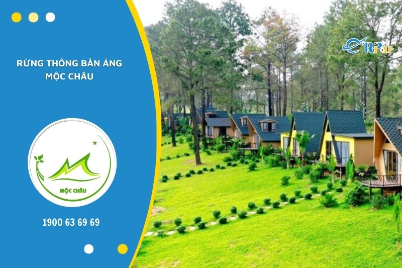 Rừng th&ocirc;ng bản &Aacute;ng l&agrave; điểm dừng ch&acirc;n y&ecirc;u th&iacute;ch của giới trẻ