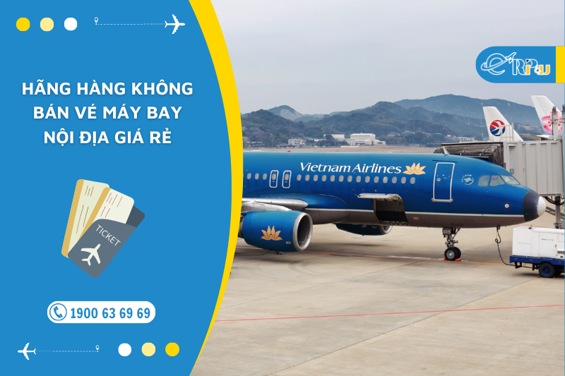 H&atilde;ng h&agrave;ng kh&ocirc;ng b&aacute;n v&eacute; m&aacute;y bay nội địa gi&aacute; rẻ