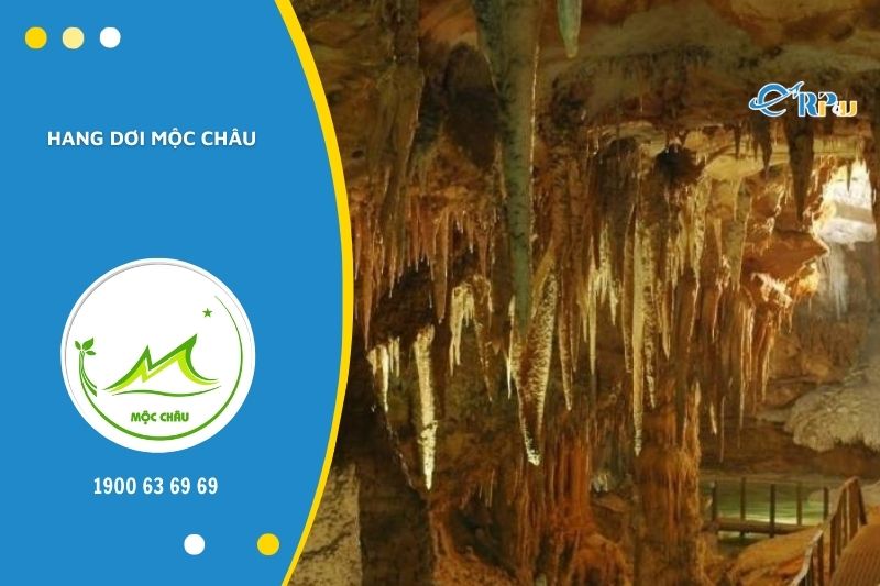 Th&aacute;m hiểm hang Dơi sẽ mang đến cho du kh&aacute;ch cảm gi&aacute;c hồi hộp, phấn kh&iacute;ch