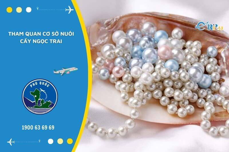 Tham quan cơ sở nu&ocirc;i cấy ngọc trai lu&ocirc;n mang đến nhiều trải nghiệm kh&oacute; qu&ecirc;n