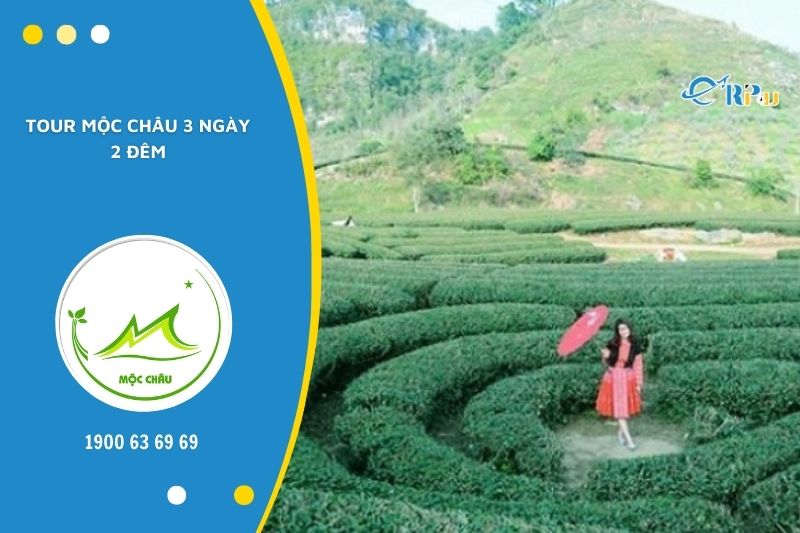 Tour du lịch Mộc Ch&acirc;u 3 ng&agrave;y 2 đ&ecirc;m đang được quan t&acirc;m bậc nhất hiện nay