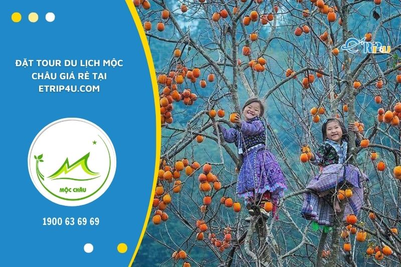 Vnbuy - Đơn vị b&aacute;n tour du lịch uy t&iacute;n, chuy&ecirc;n nghiệp nhất hiện nay