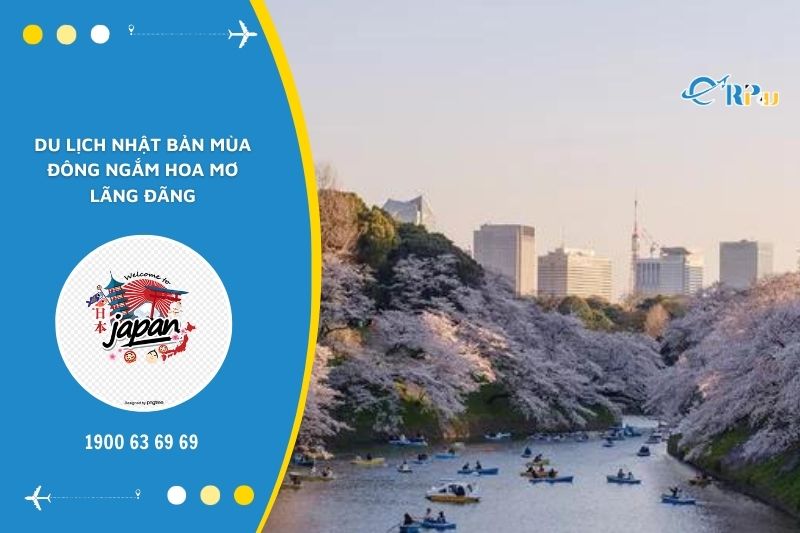 Du lịch Nhật Bản M&ugrave;a đ&ocirc;ng chi&ecirc;m ngưỡng hoa mơ Nhật (hoa mai) l&atilde;ng đ&atilde;ng