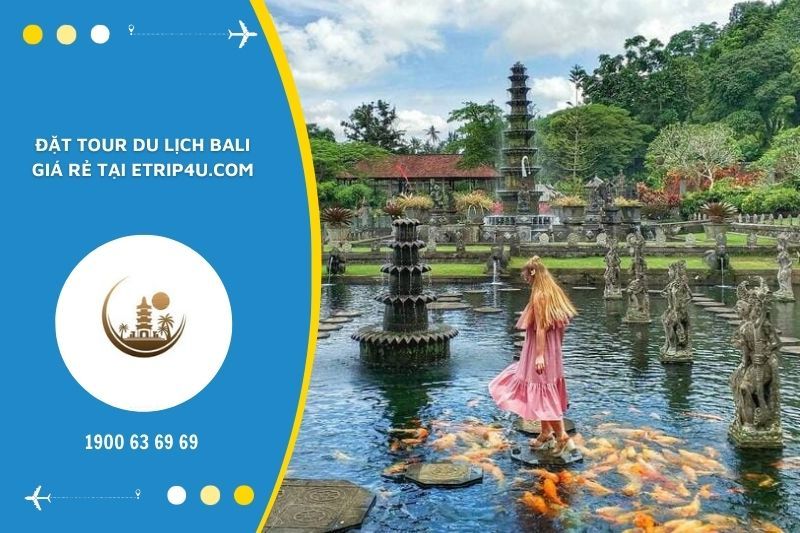 Vnbuy.vn - Đơn vị b&aacute;n tour du lịch gi&aacute; rẻ, uy t&iacute;n h&agrave;ng đầu hiện nay