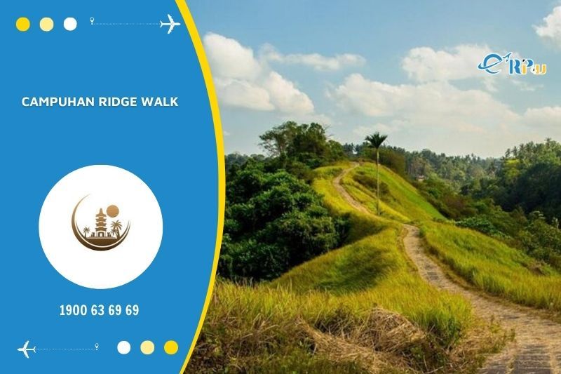 Dạo bộ ở Campuhan Ridge l&agrave; trải nghiệm kh&aacute; th&uacute; vị