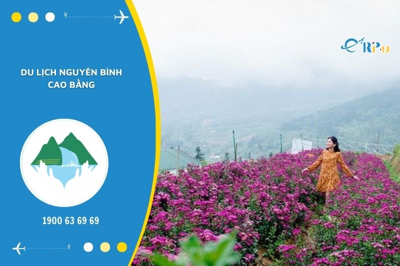 Nguy&ecirc;n B&igrave;nh Cao Bằng sở hữu vẻ đẹp n&ecirc;n thơ, trữ t&igrave;nh đến lạ