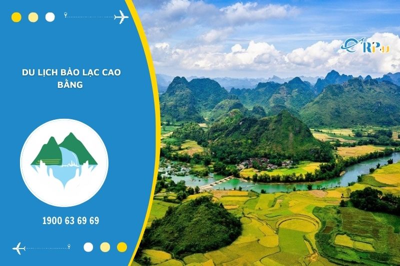 Du lịch Bảo Lạc v&agrave; ngắm nh&igrave;n những thửa ruộng v&agrave;ng ươm l&agrave; trải nghiệm kh&oacute; qu&ecirc;n