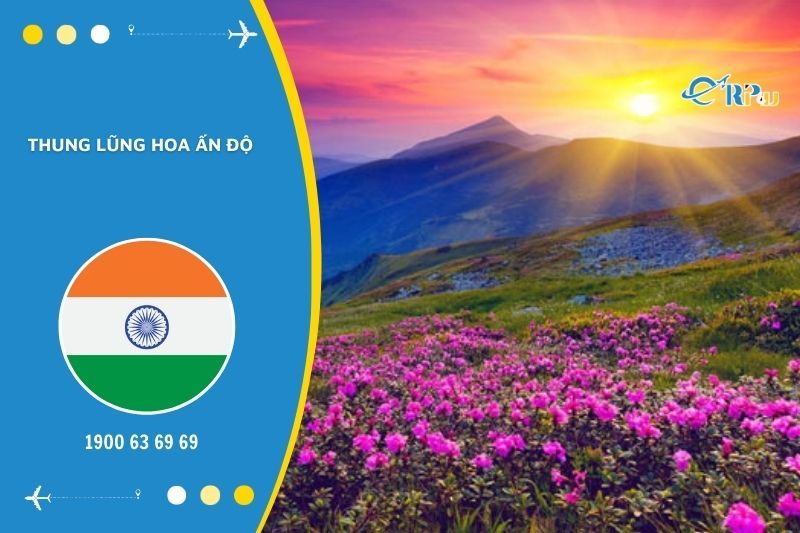 Check in thung lũng hoa l&agrave; trải nghiệm kh&ocirc;ng thể bỏ lỡ
