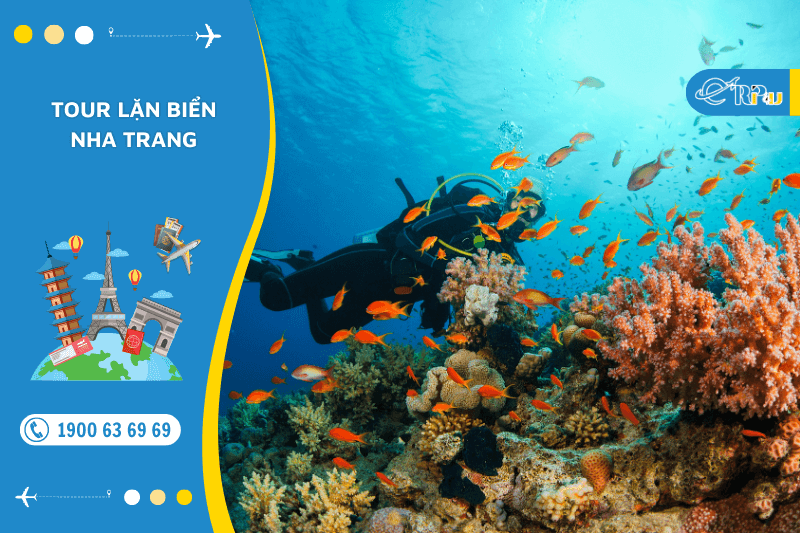 tour lặn biển nha trang