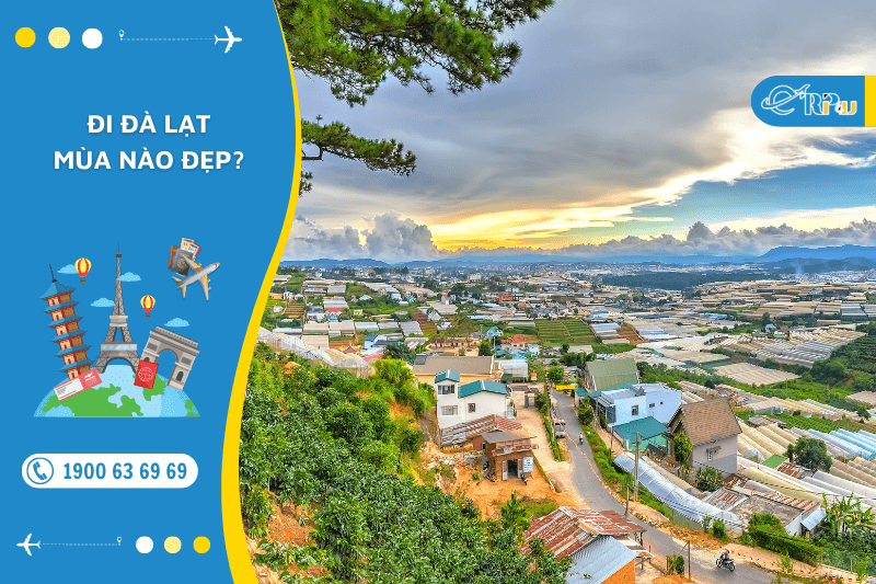 Đi đ&agrave; lạt m&ugrave;a n&agrave;o đẹp nhất