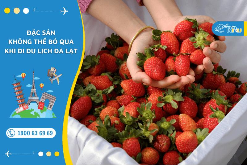 Đặc sản kh&ocirc;ng thể bỏ qua khi đi đ&agrave; lạt du lịch