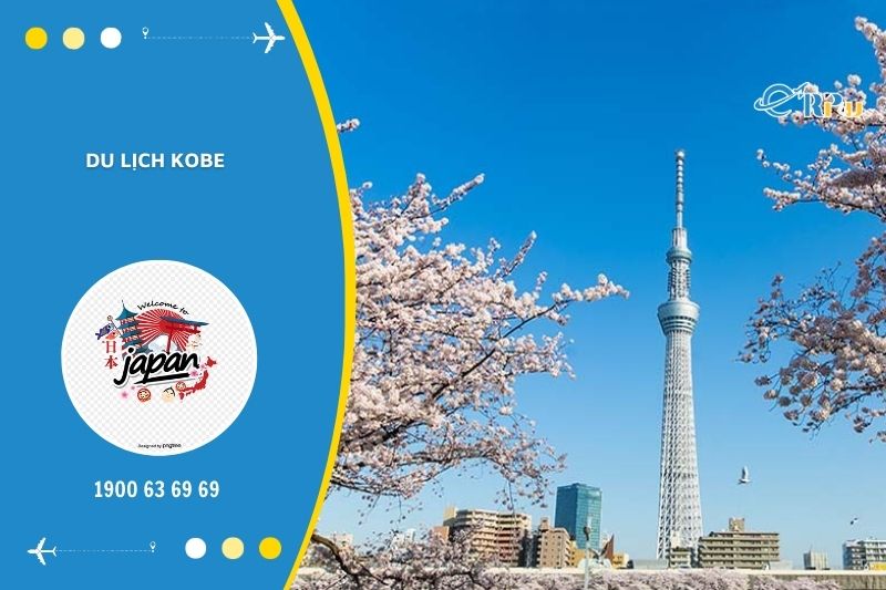 Kobe l&agrave; th&agrave;nh phố du lịch ph&aacute;t triển, thu h&uacute;t nhiều du kh&aacute;ch gh&eacute; thăm