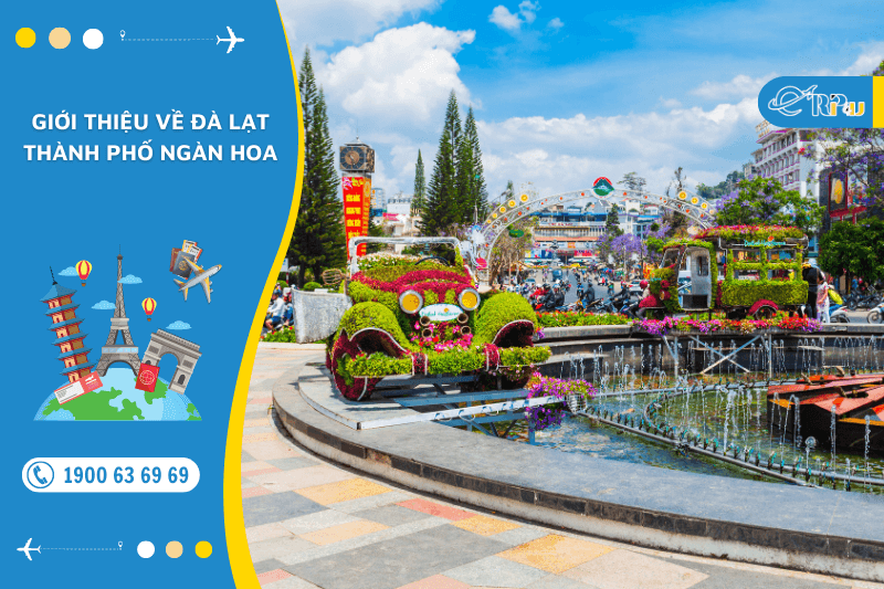 Giới thiệu về Đ&agrave; Lạt - Th&agrave;nh phố ng&agrave;n hoa