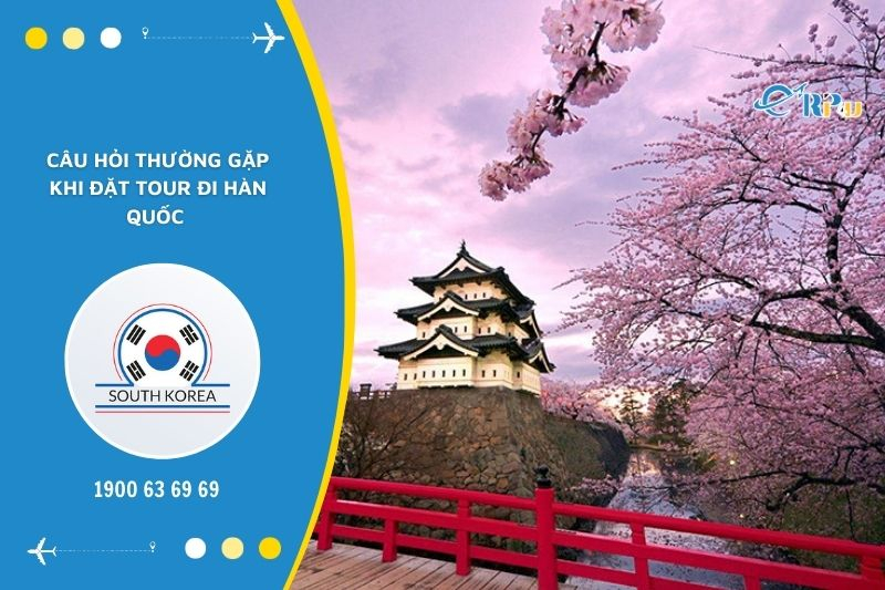 C&acirc;u hỏi thường gặp khi đặt tour đi H&agrave;n Quốc