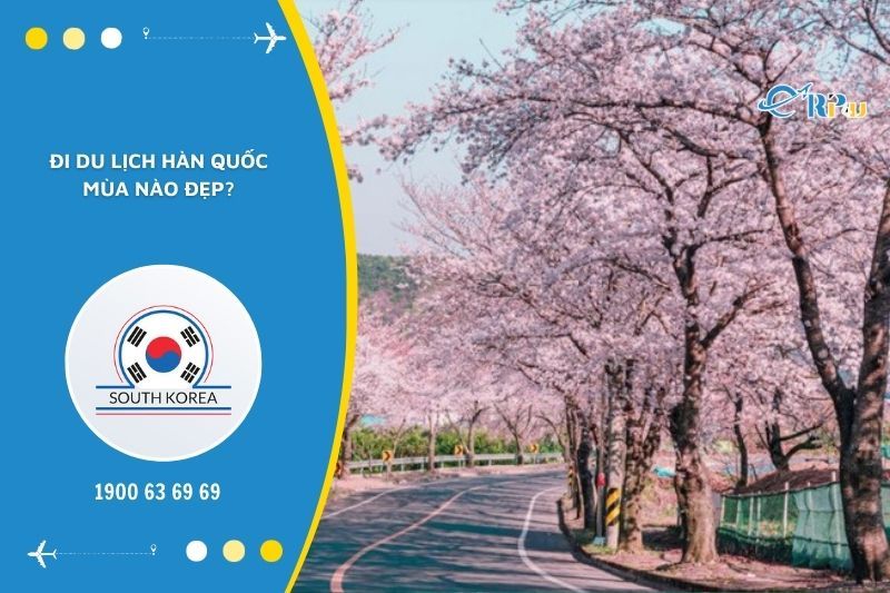 M&ugrave;a xu&acirc;n l&agrave; thời điểm du lịch H&agrave;n Quốc l&yacute; tưởng nhất