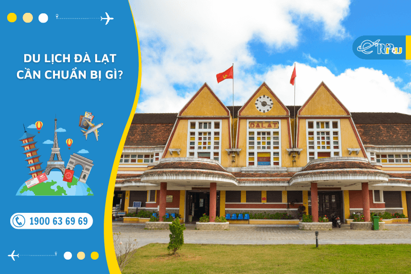 Du lịch đ&agrave; lạt cần chuẩn bị g&igrave;