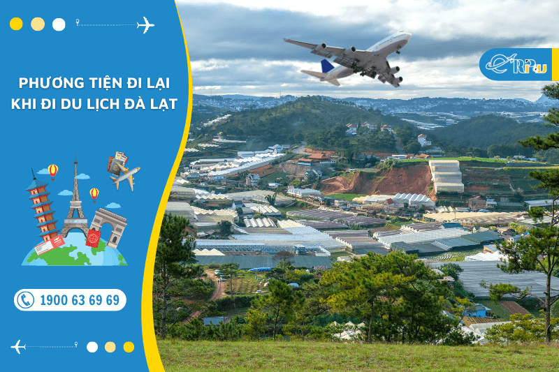 Phương tiện đi lại khi đi du lịch Đ&agrave; Lạt
