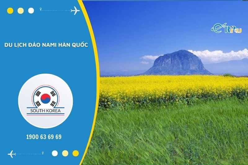 Đảo Nami nổi tiếng với những c&aacute;nh đồng hoa trải d&agrave;i bất tận