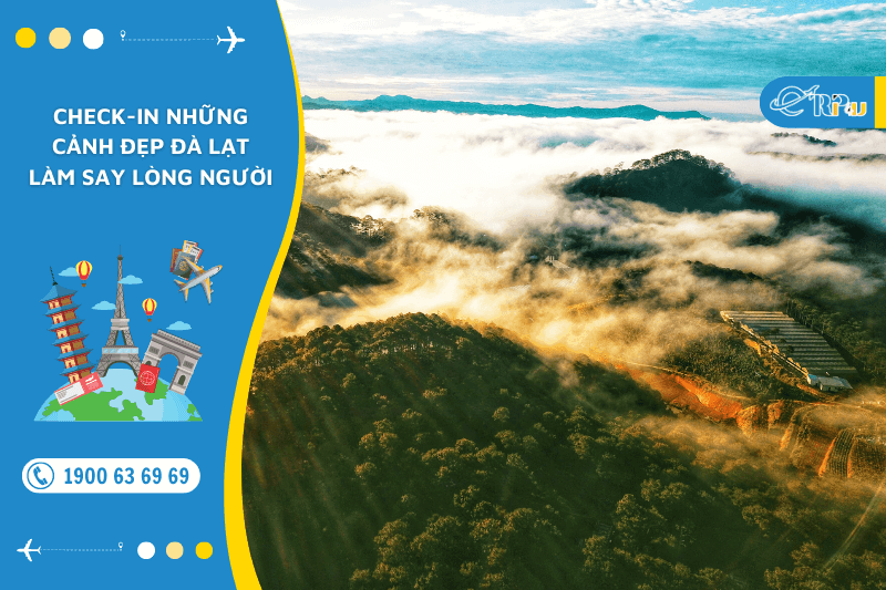 Check-in những cảnh đẹp đ&agrave; lạt l&agrave;m say l&ograve;ng người