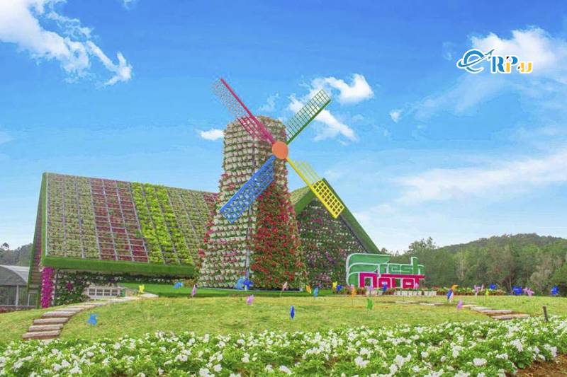 Ng&ocirc;i nh&agrave; phủ đầy hoa v&agrave; chiếc cối xay gi&oacute; khổng lồ